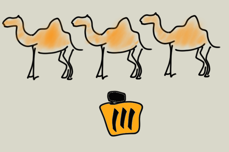 Camels