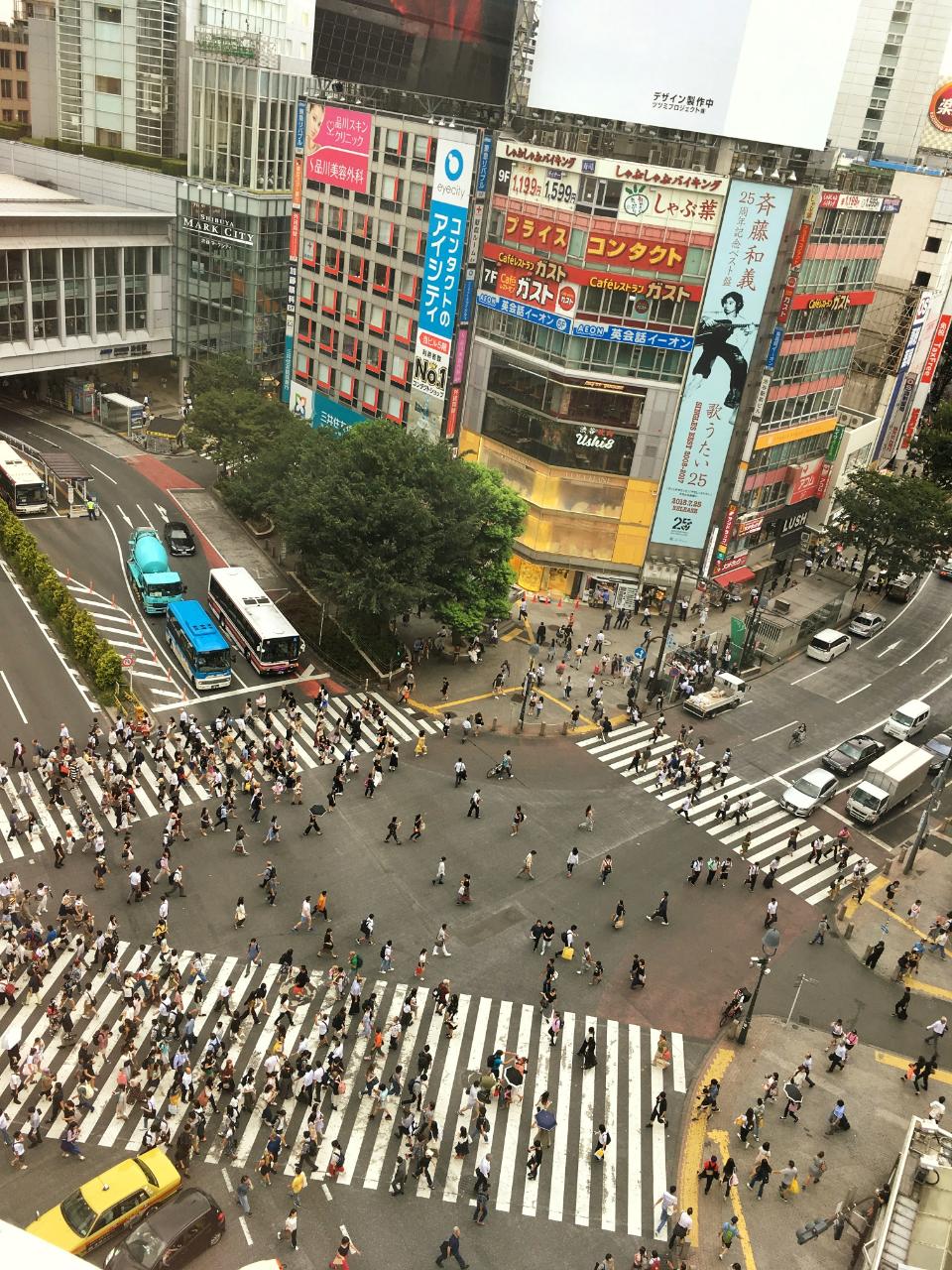 Shibuya crossing